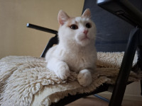 /album/113/whatsapp-image-2026-02-23-at-21-20-15-1-jpeg/